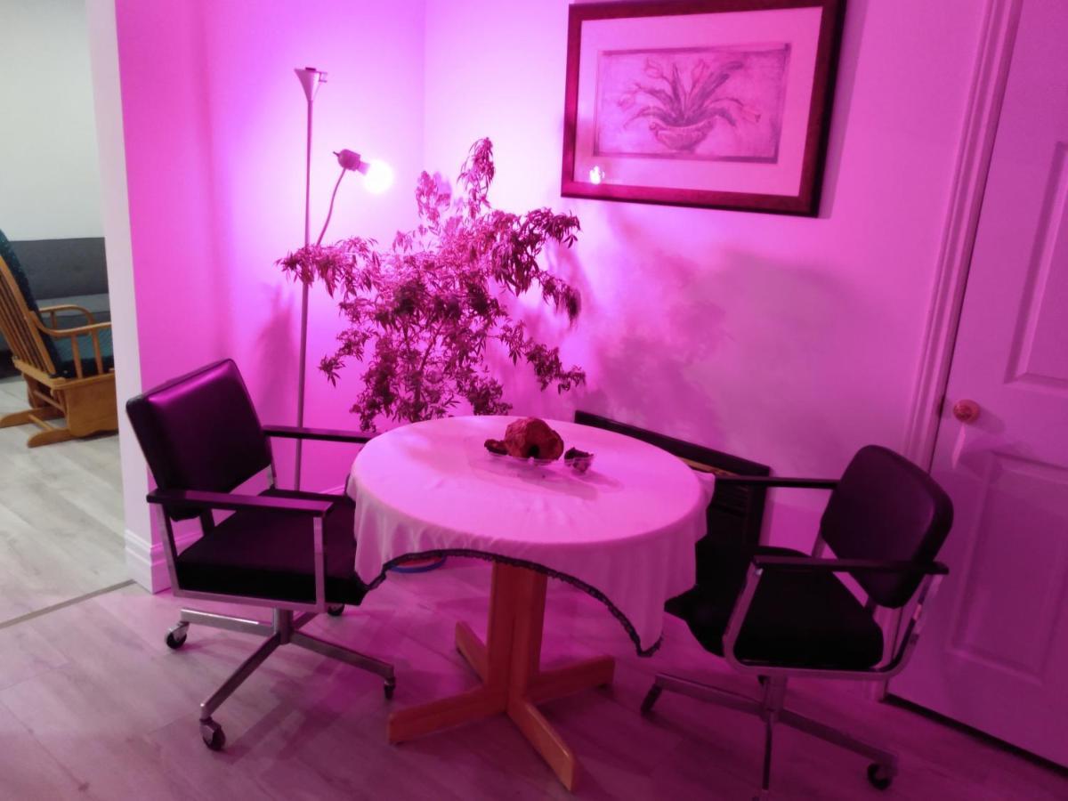 Healing Touch Holistic Living Space Amherst Eksteriør billede